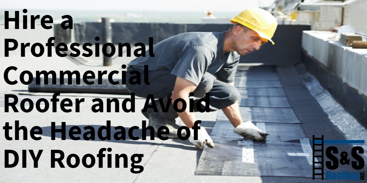 banner-52-5cb8e1d2a1cdb