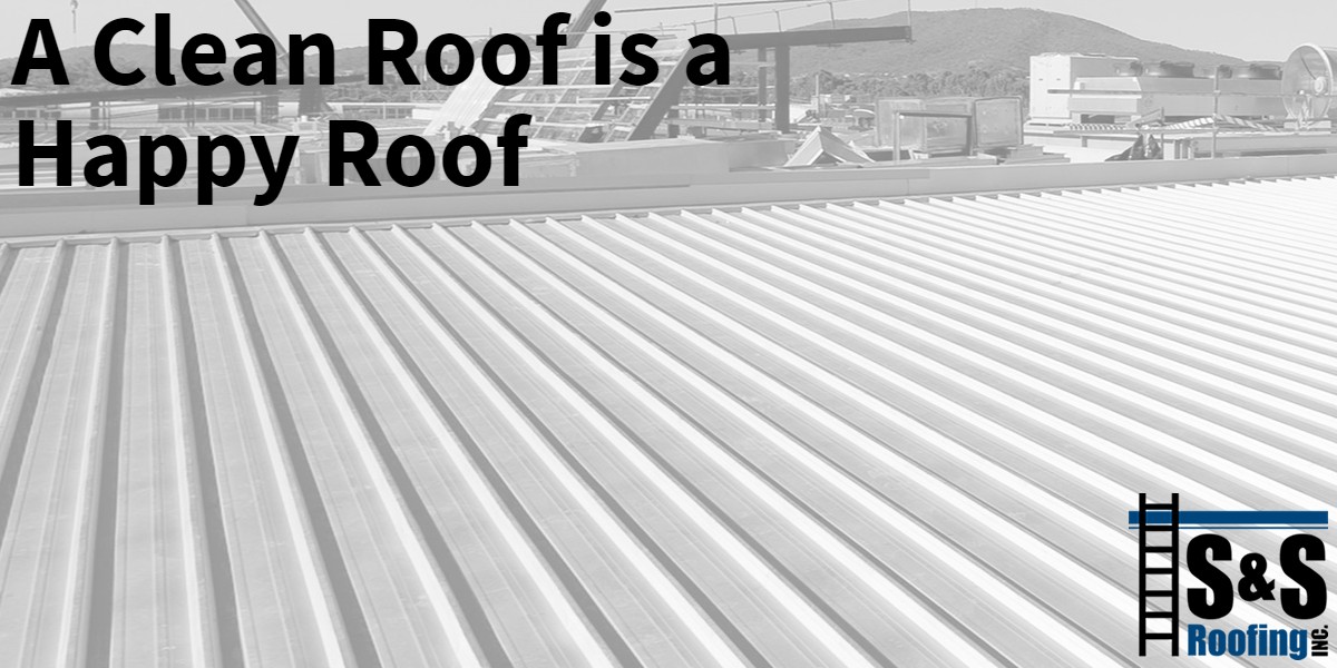 banner-53-5cb8e261a623b