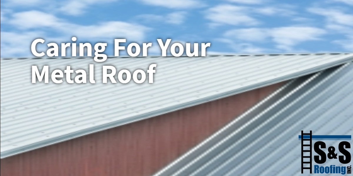 banner-2019-05-22T151107-844-5ce5bafd782c5