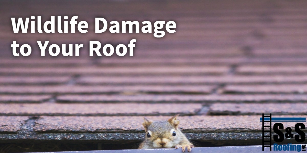 banner-2019-05-24T064452-617-5ce7e7822ed6d