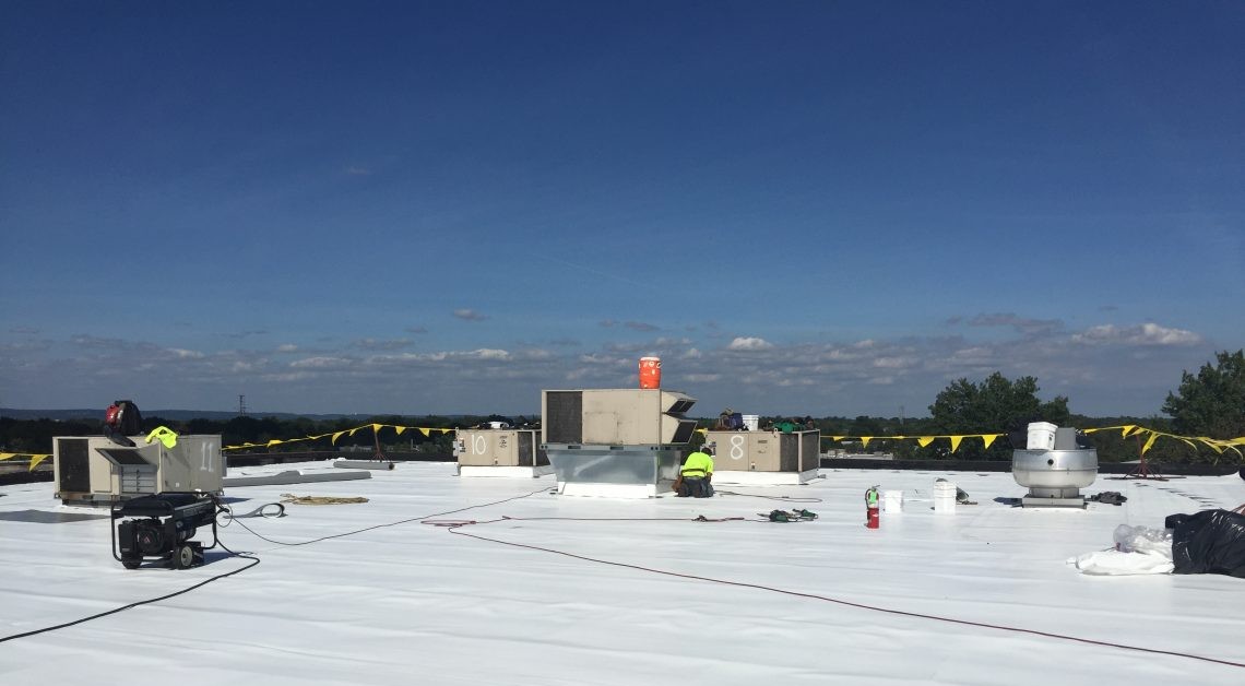 new-roof-2-160926-57e932e7720c3-1140x855